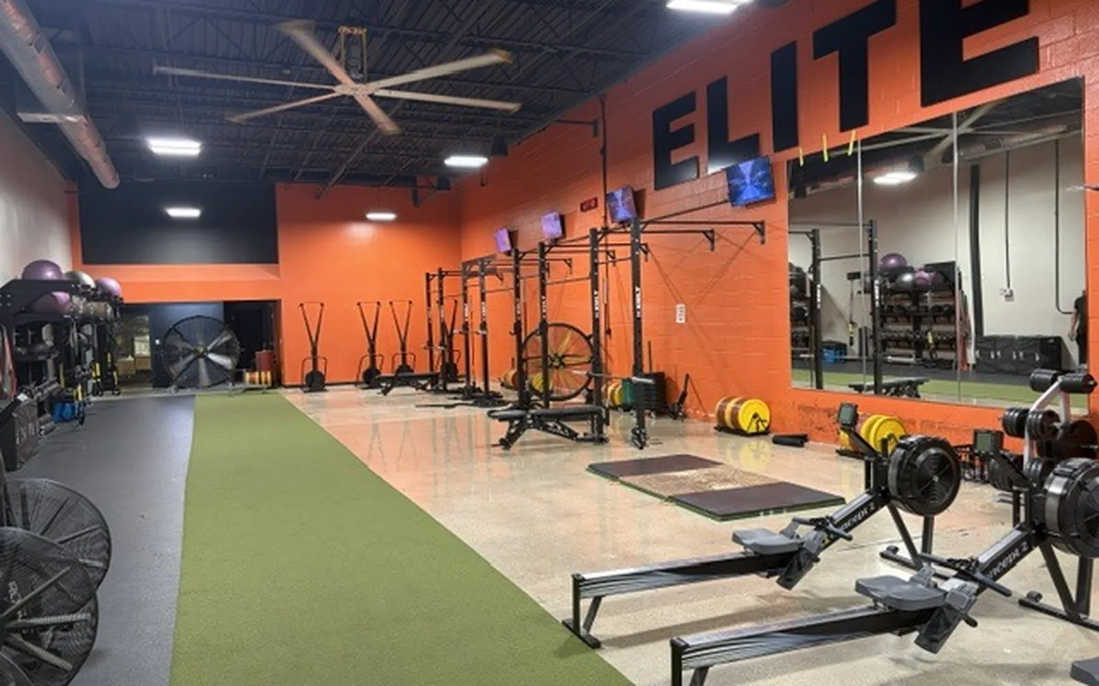 Inside Elite Fitness — functional training floor with rowers, air bikes, rigs and heavy bags